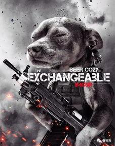 娱乐吃瓜汪星人,揭秘明星背后的故事