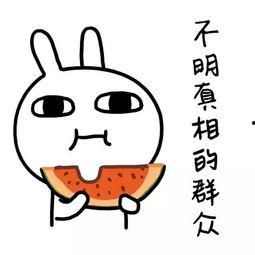 娱乐吃瓜酱你养过什么小众的,揭秘我那些不为人知的小众宠物