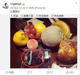 娱乐吃瓜小号,吃瓜小号带你探秘明星幕后故事